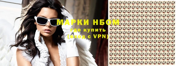 дживик Дубна