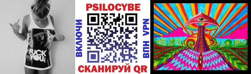 купить   Собинка  Псилоцибиновые грибы Psilocybine cubensis 